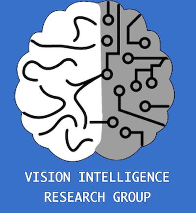Vision &
Intelligence Group
