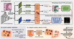 Position-based anchor optimization for point supervised dense nuclei detection